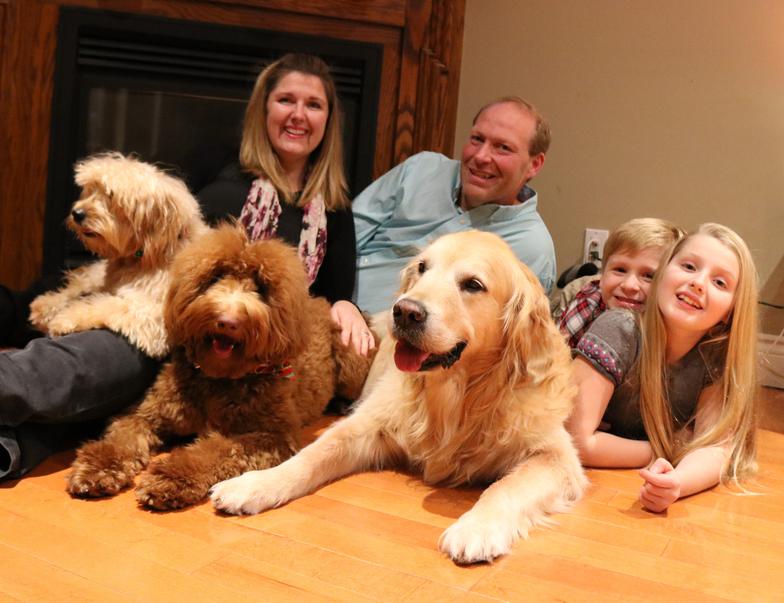 labradoodle-ottawa-rescue